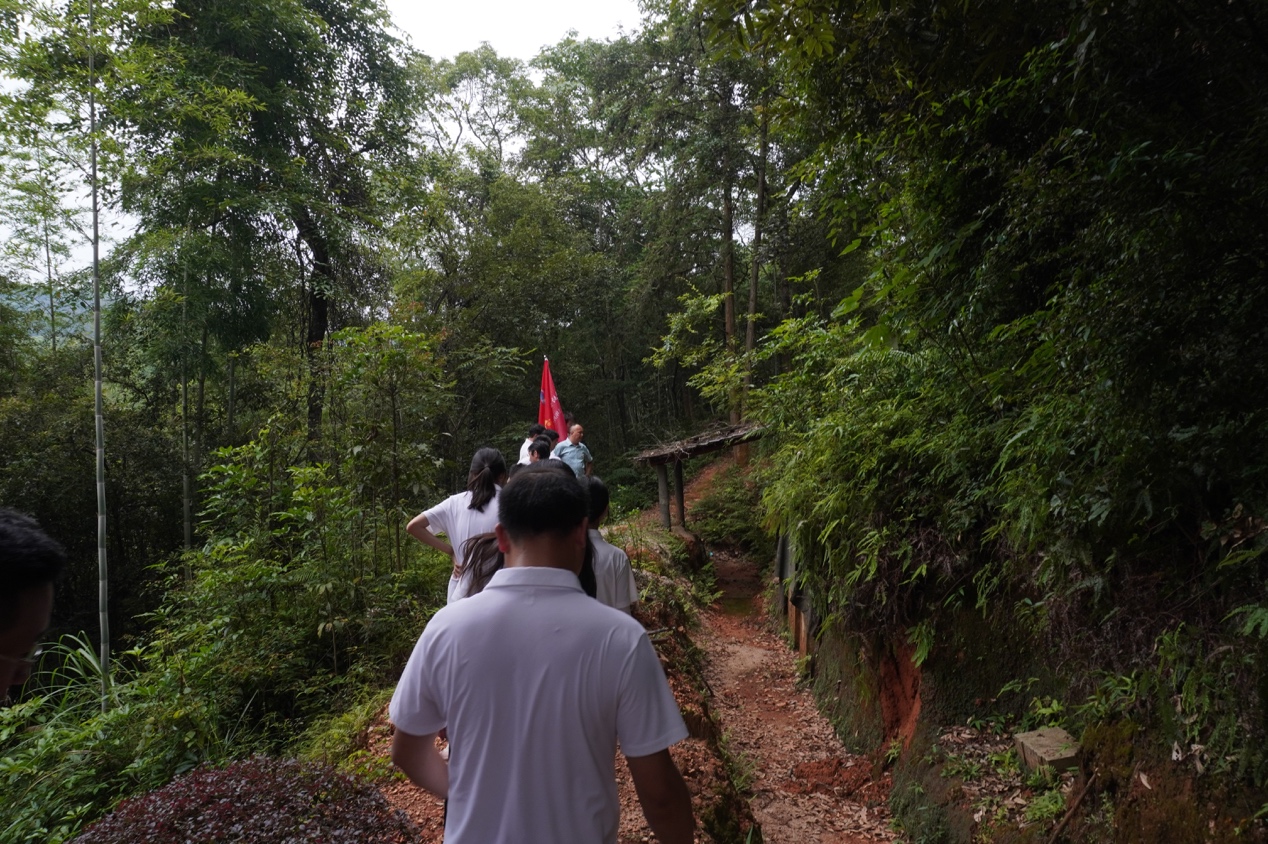 image5.jpeg